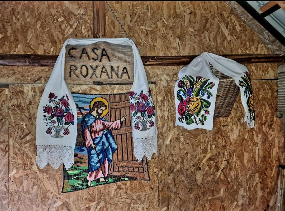 Villa Casa Roxana Viseu de Mijloc Esterno foto
