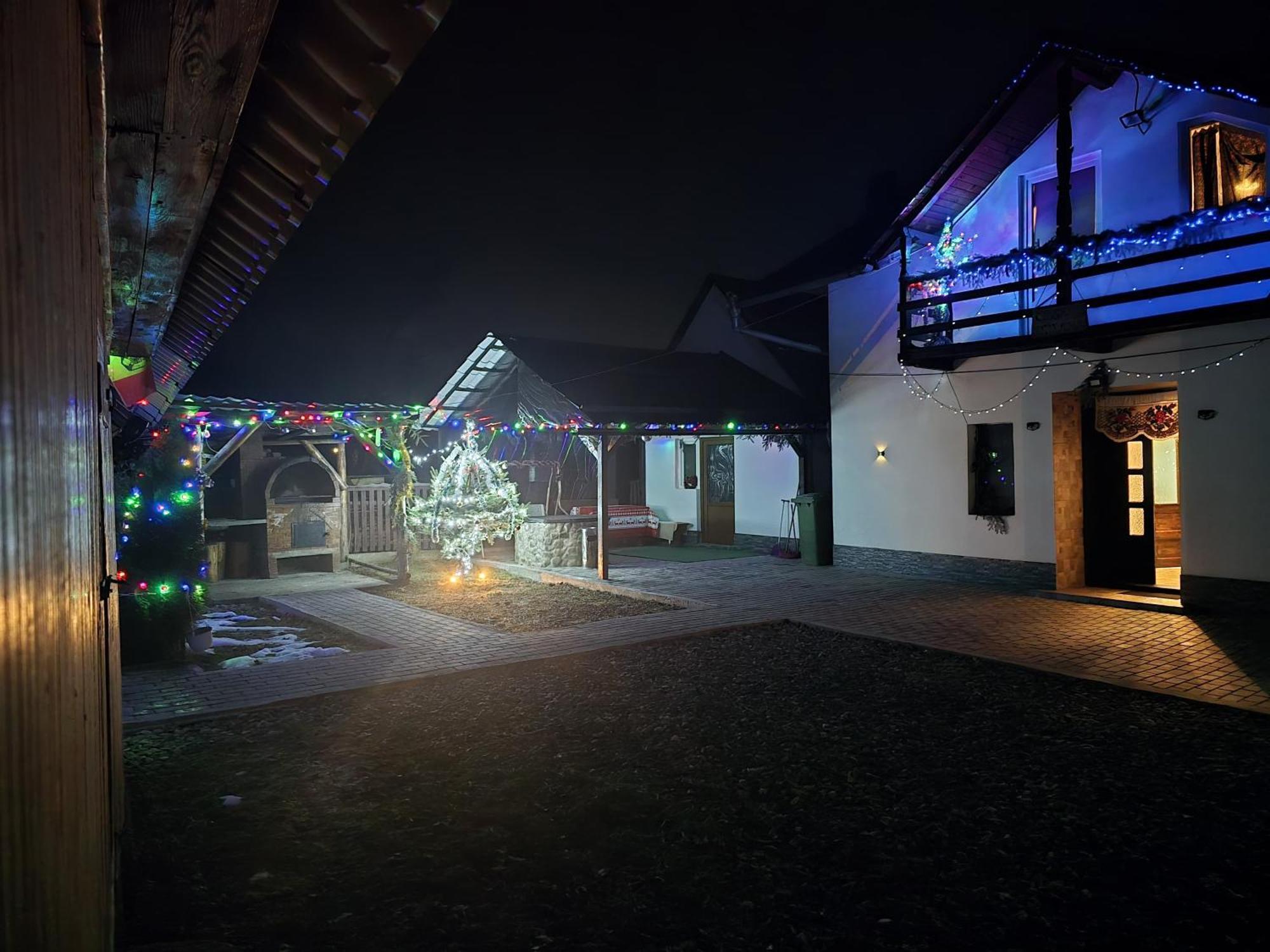 Villa Casa Roxana Viseu de Mijloc Esterno foto